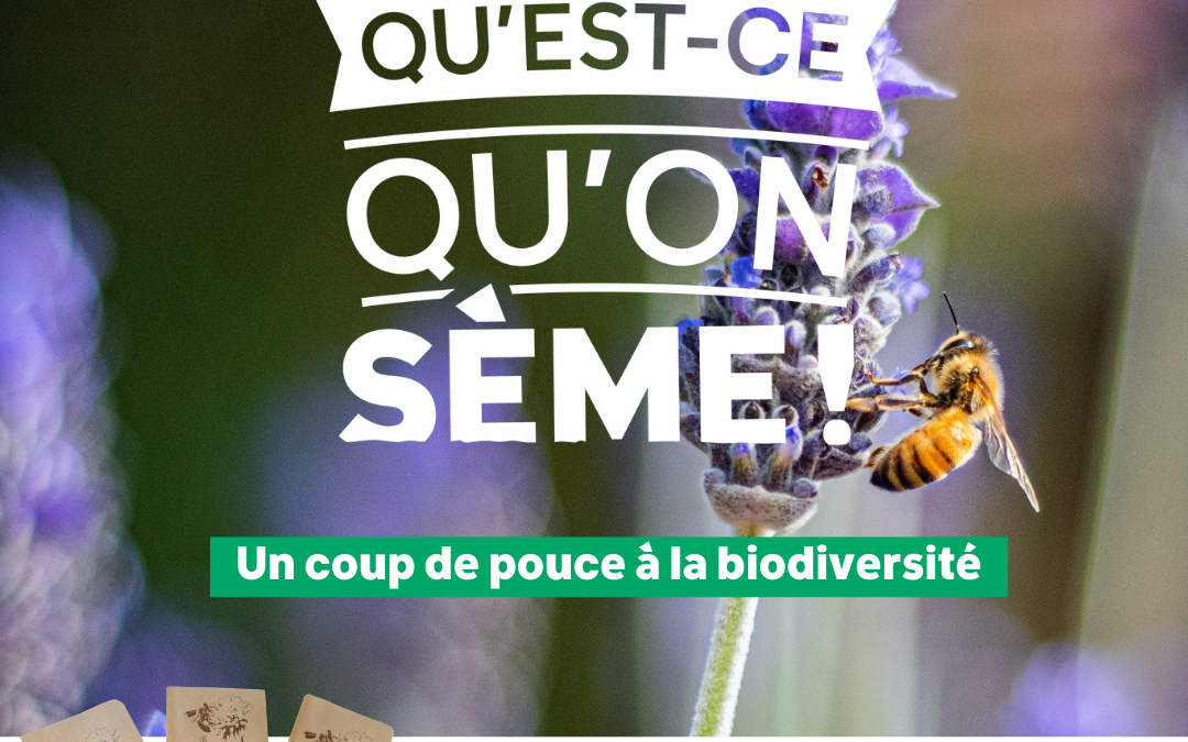 Action « Qu’est ce qu’on sème » – Un coup de pouce pour la biodiversité